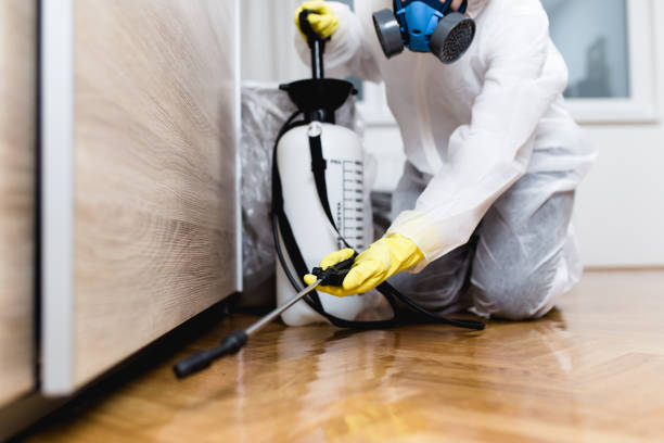 Best Pest Removal Services  in West Clarkston Highland, WA