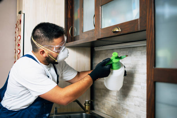 Best Bed Bug Extermination  in West Clarkston Highland, WA