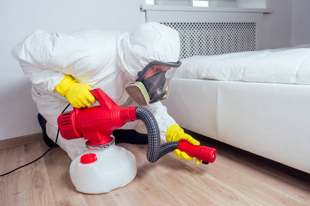 Professional Pest Control in West Clarkston Highland, WA