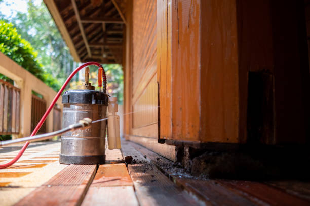 Best Pest Prevention Services  in West Clarkston Highland, WA