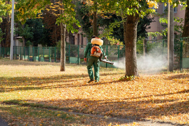 Pest Prevention Services in West Clarkston Highland, WA