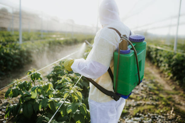 Best Pest Inspection Near Me  in West Clarkston Highland, WA